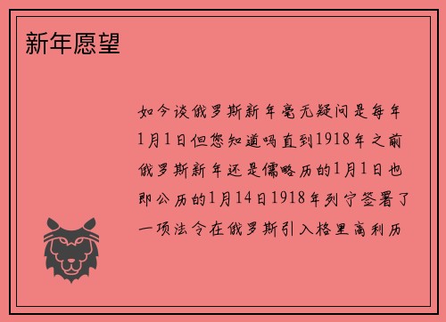 新年愿望