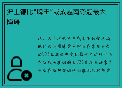 沪上德比“牌王”或成越南夺冠最大障碍